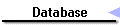 Database