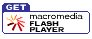  Download Flash Player 